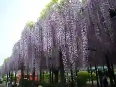 玉敷神社(埼玉県)