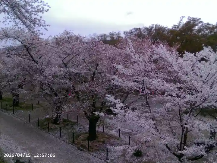 懐古神社の{uncategorized: "未分類", other: "その他", undefined: "問題あり", building: "その他建物", grave: "お墓", sacred_gate: "鳥居", guardian: "狛犬", statue: "像", buddha: "仏像", history: "歴史", nature: "自然", garden: "庭園", animal: "動物", pagoda: "塔", temizu: "手水舎", mountain_gate: "山門・神門", sanctuary: "本殿・本堂", subordinate: "末社・摂社", art: "芸術", scenery: "景色", jizo: "地蔵", ema: "絵馬", goshuin: "御朱印", omikuji: "おみくじ", items: "授与品その他", amulet: "お守り", goshuincho: "御朱印帳", eats: "食事", festival: "お祭り", votive_dance: "神楽", shichigosan: "七五三参", wedding: "結婚式", experience: "体験その他", initially: "初詣", around: "周辺", anti_infection: "感染症対策"}