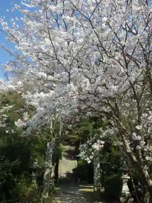 金切神社(山口県)