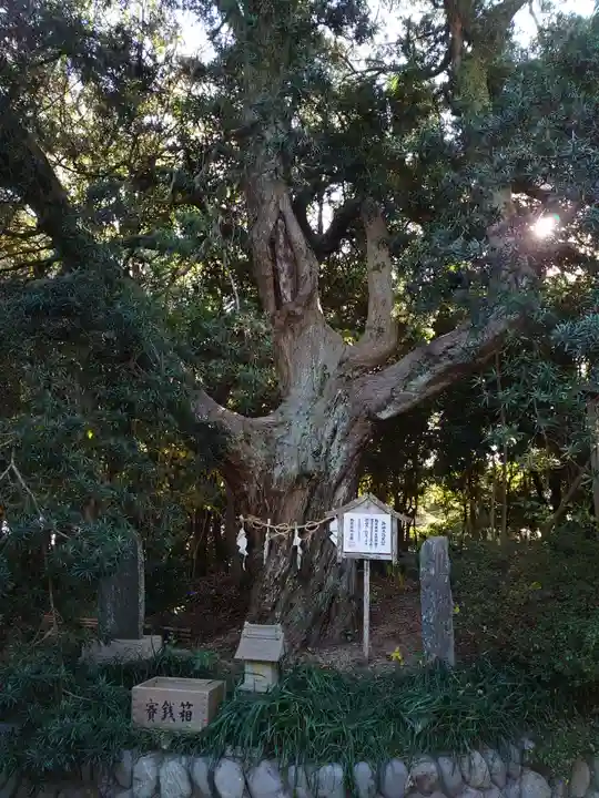白羽神社の自然