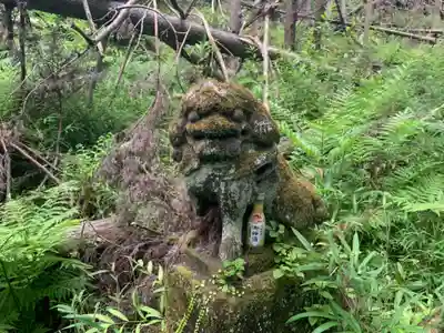 神社(名称不明)の狛犬