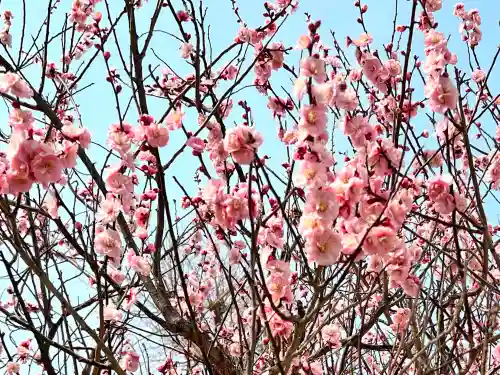 大願寺(広島県)