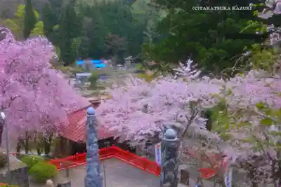 金櫻神社(山梨県)