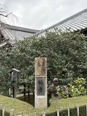 地蔵院（椿寺）(京都府)