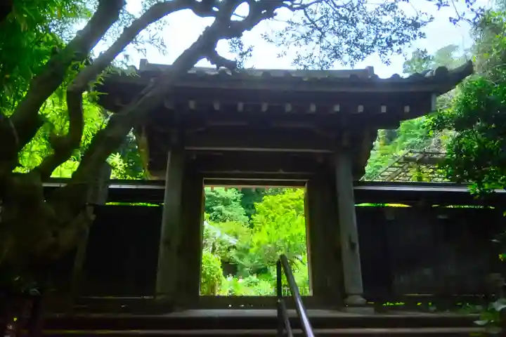 黄梅院(円覚寺塔頭)(神奈川県)
