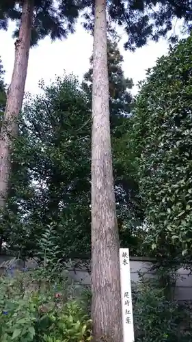 高麗神社の自然