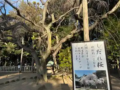 常陸第三宮 吉田神社(茨城県)