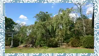 境香取神社(茨城県)