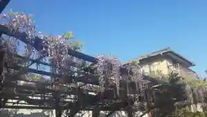 西方山極楽寺(岐阜県)(2023年04月10日(月) 09時30分22秒投稿)