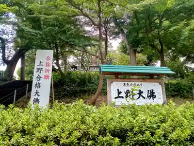 上野大佛の周辺