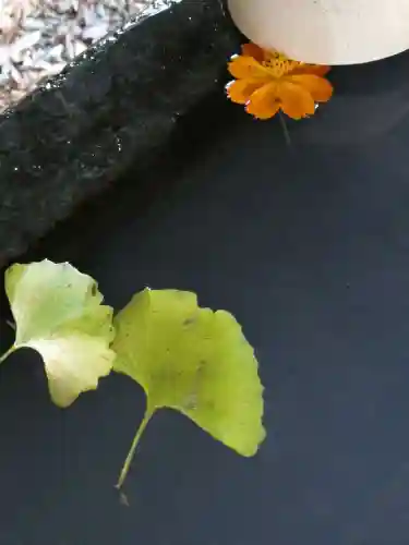 網戸神社の手水舎