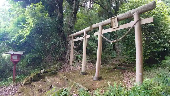 諏訪神社(鹿児島県)