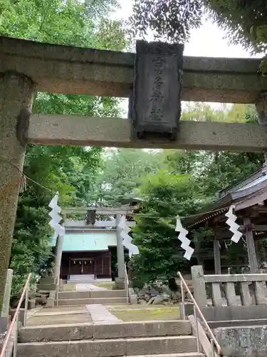 富多神社(埼玉県)