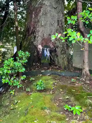 大宮神社(熊本県)
