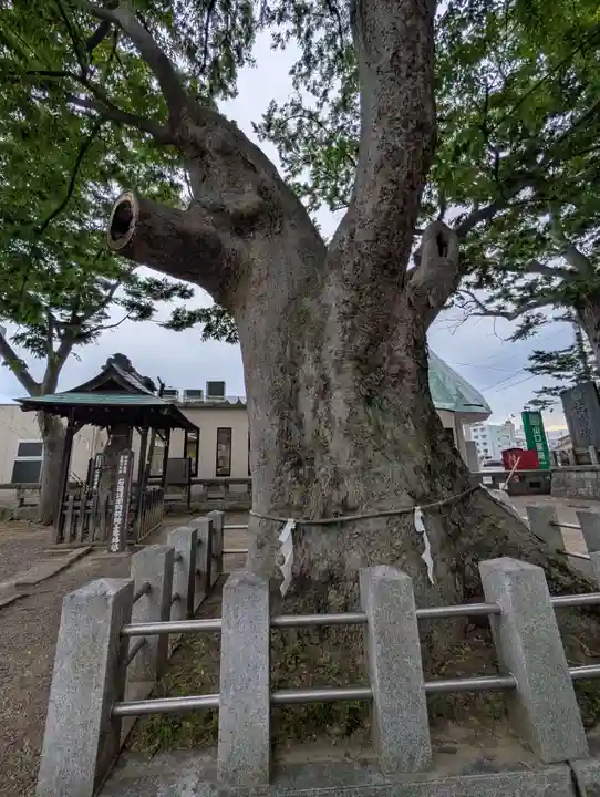 阿邪訶根神社(福島県)
