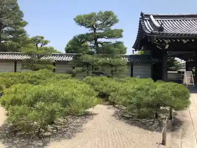 仁和寺(京都府)