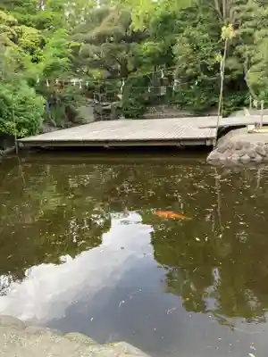平塚八幡宮(神奈川県)
