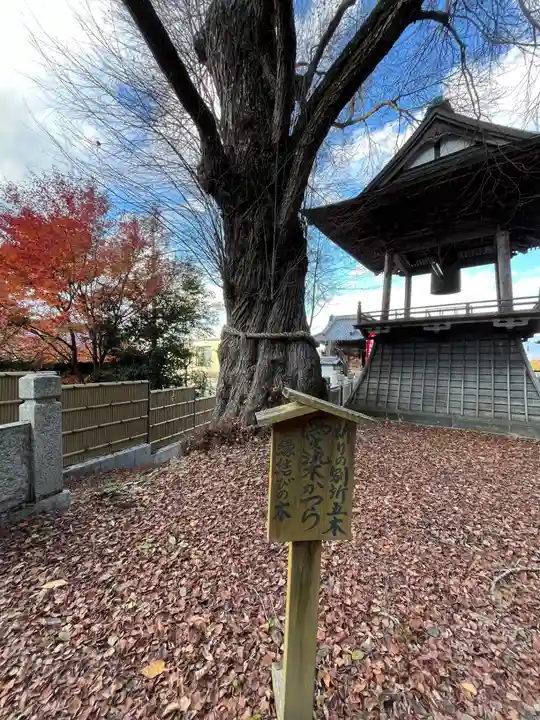 北向観音(長野県)