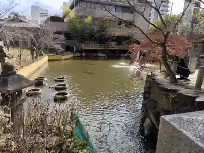 生田神社(兵庫県)