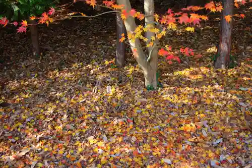 滑川神社 - 仕事と子どもの守り神の景色