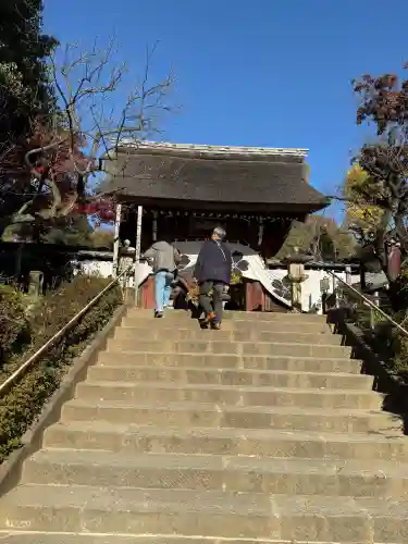 深大寺の{uncategorized: "未分類", other: "その他", undefined: "問題あり", building: "その他建物", grave: "お墓", sacred_gate: "鳥居", guardian: "狛犬", statue: "像", buddha: "仏像", history: "歴史", nature: "自然", garden: "庭園", animal: "動物", pagoda: "塔", temizu: "手水舎", mountain_gate: "山門・神門", sanctuary: "本殿・本堂", subordinate: "末社・摂社", art: "芸術", scenery: "景色", jizo: "地蔵", ema: "絵馬", goshuin: "御朱印", omikuji: "おみくじ", items: "授与品その他", amulet: "お守り", goshuincho: "御朱印帳", eats: "食事", festival: "お祭り", votive_dance: "神楽", shichigosan: "七五三参", wedding: "結婚式", experience: "体験その他", initially: "初詣", around: "周辺", anti_infection: "感染症対策"}