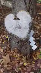 大谷地神社の自然