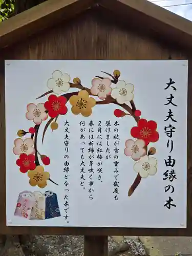 大宮・大原神社(千葉県)