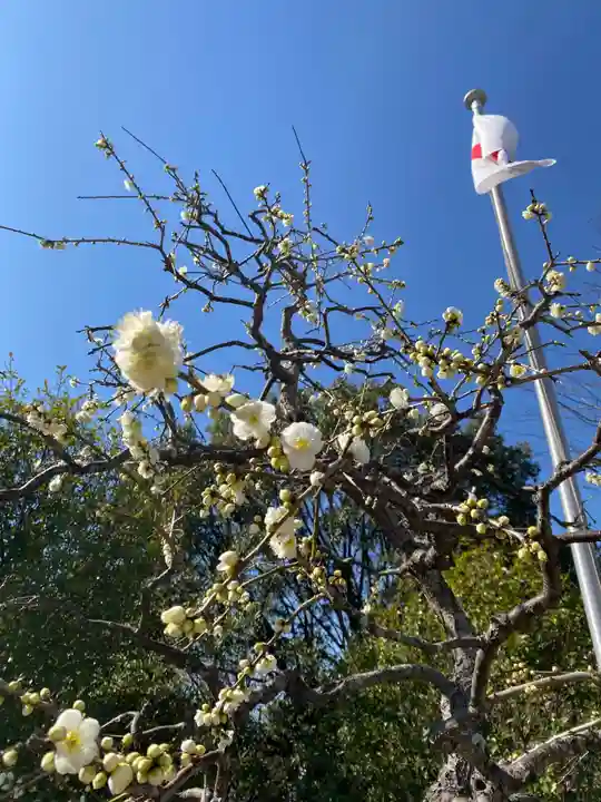 比佐豆知神社の自然