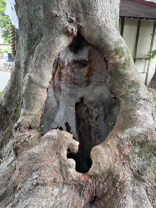 八坂神社(神奈川県)