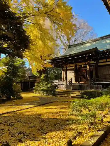 奥澤神社の本殿・本堂