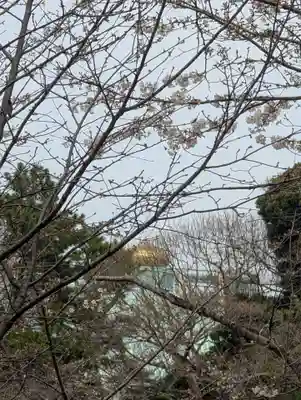 千鳥ヶ淵戦没者墓苑(東京都)