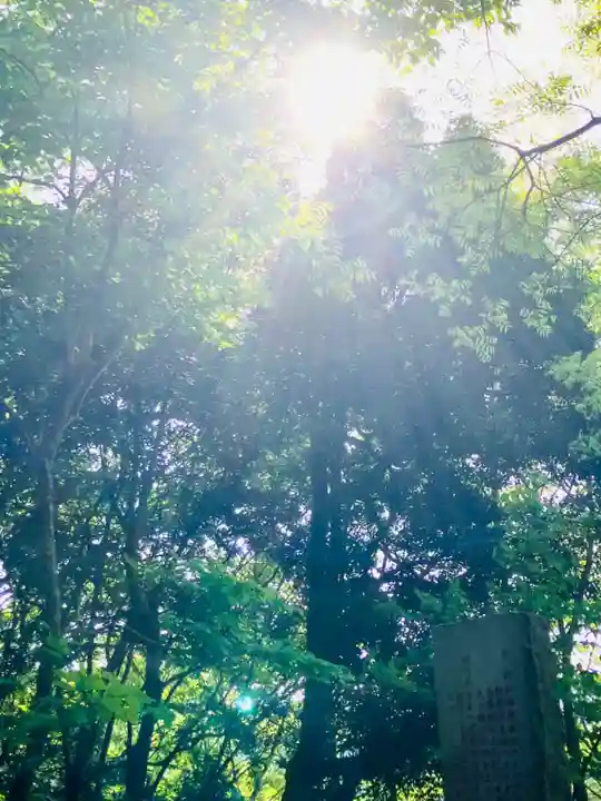 伊保田神社(茨城県)