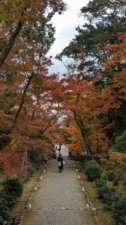浄住寺(京都府)