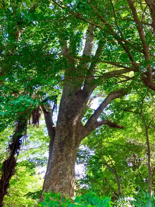 歓喜院(茨城県)