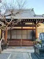安楽寺の{uncategorized: "未分類", other: "その他", undefined: "問題あり", building: "その他建物", grave: "お墓", sacred_gate: "鳥居", guardian: "狛犬", statue: "像", buddha: "仏像", history: "歴史", nature: "自然", garden: "庭園", animal: "動物", pagoda: "塔", temizu: "手水舎", mountain_gate: "山門・神門", sanctuary: "本殿・本堂", subordinate: "末社・摂社", art: "芸術", scenery: "景色", jizo: "地蔵", ema: "絵馬", goshuin: "御朱印", omikuji: "おみくじ", items: "授与品その他", amulet: "お守り", goshuincho: "御朱印帳", eats: "食事", festival: "お祭り", votive_dance: "神楽", shichigosan: "七五三参", wedding: "結婚式", experience: "体験その他", initially: "初詣", around: "周辺", anti_infection: "感染症対策"}