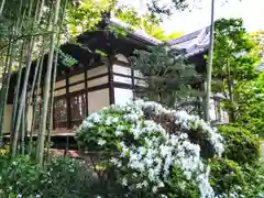 普門寺(宮城県)