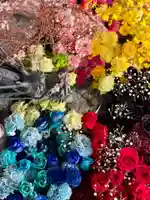 札幌諏訪神社の手水舎