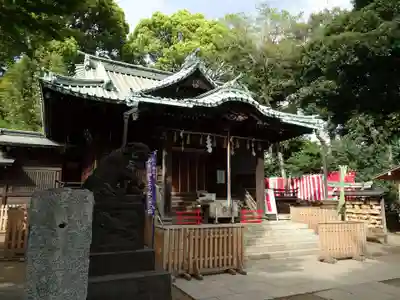 代々木八幡宮の本殿・本堂