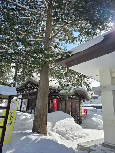 眞久寺の末社・摂社