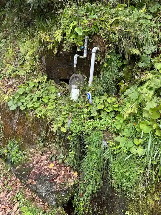 圓田神社(新潟県)