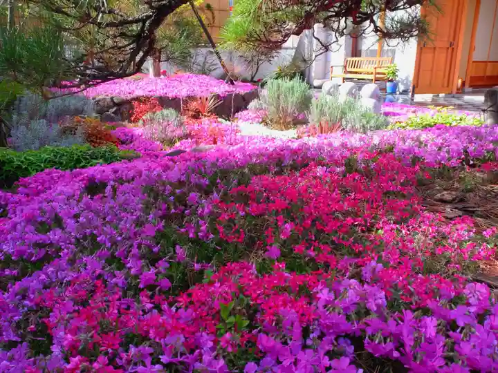 寿量山 速成寺の自然