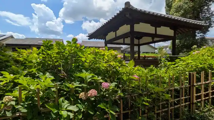 藤森神社(京都府)