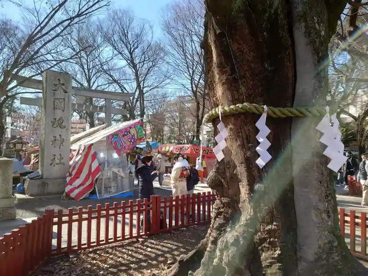 大國魂神社(東京都)