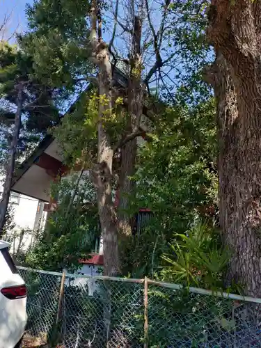 熊野神社(東京都)