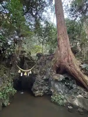 目の霊山 油山寺(静岡県)