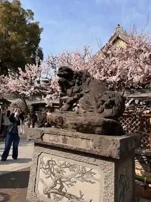 湯島天満宮の狛犬