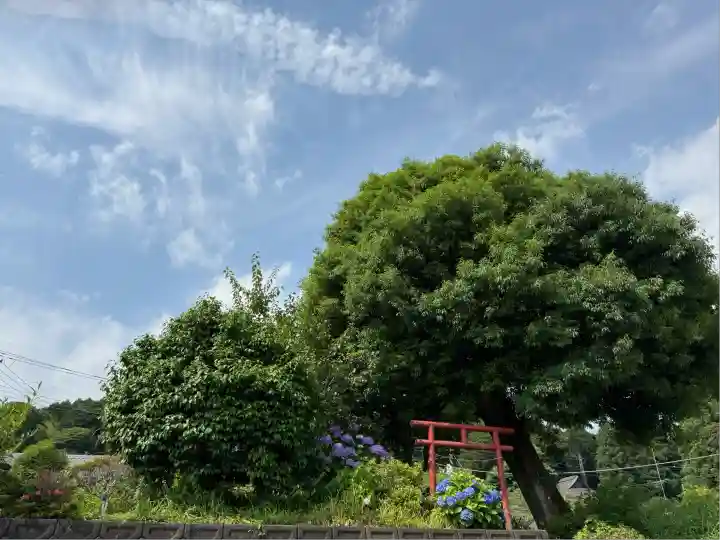 富士山興法寺 大日堂(静岡県)