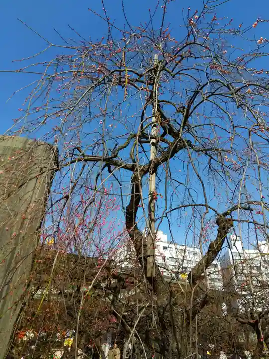 湯島天満宮の庭園