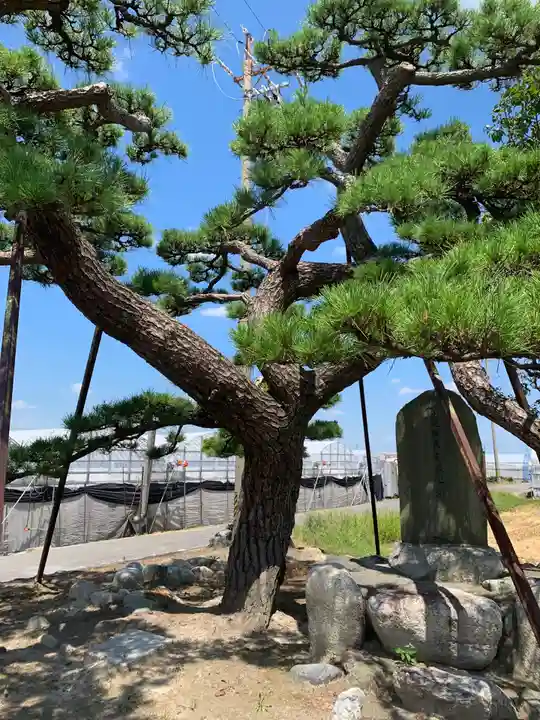 小和泉神社の周辺