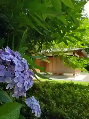 阿佐ヶ谷神明宮(東京都)